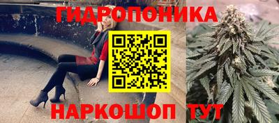 шишки Балашиха