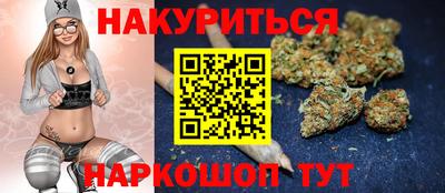 шишки Балашиха